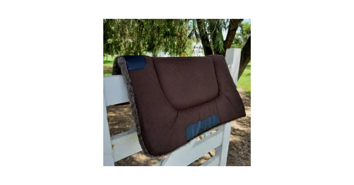Qual é a Melhor Manta para Cavalo para Absorver Suor? Análise de 8 Modelos