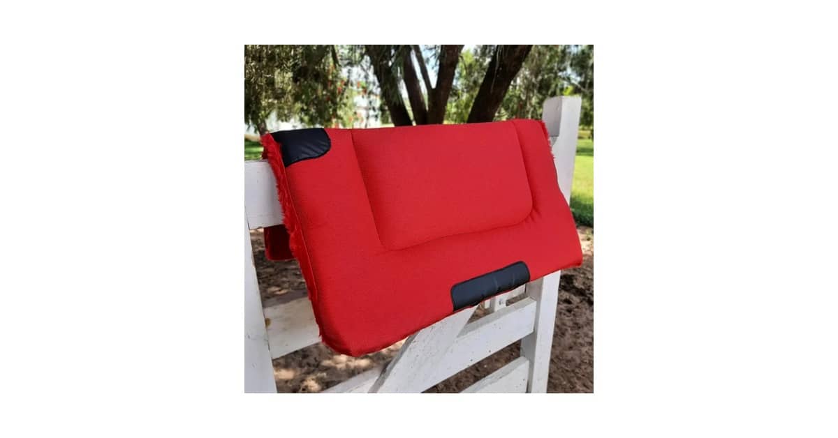 Qual é a Melhor Manta Para Cavalo? Análise de 10 Tipos