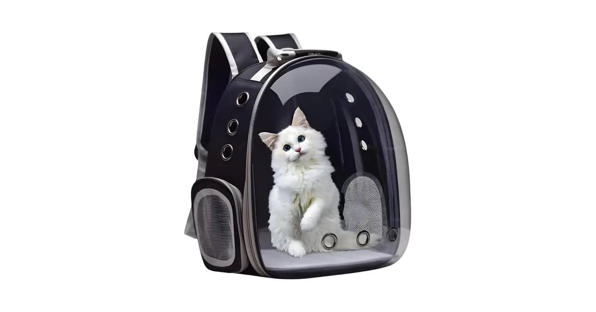 Qual é a Melhor Mochila Transparente para Gato? As 8 Mais Seguras
