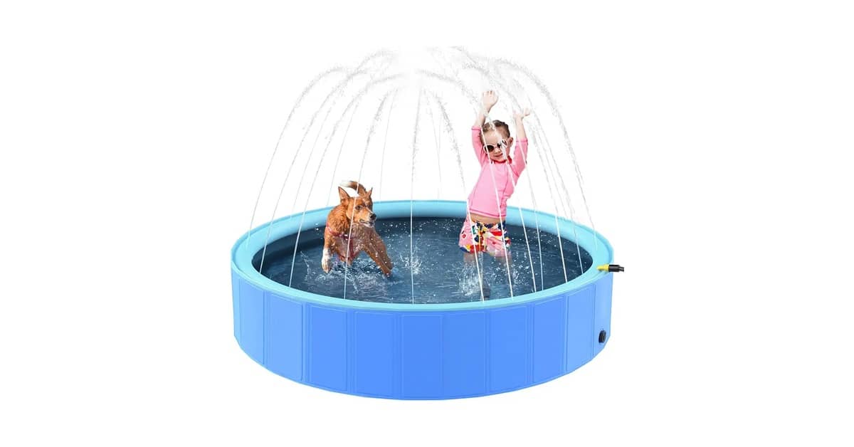 Qual É a Melhor Piscina Para Cachorro? Guia Com 10 Opções Variadas