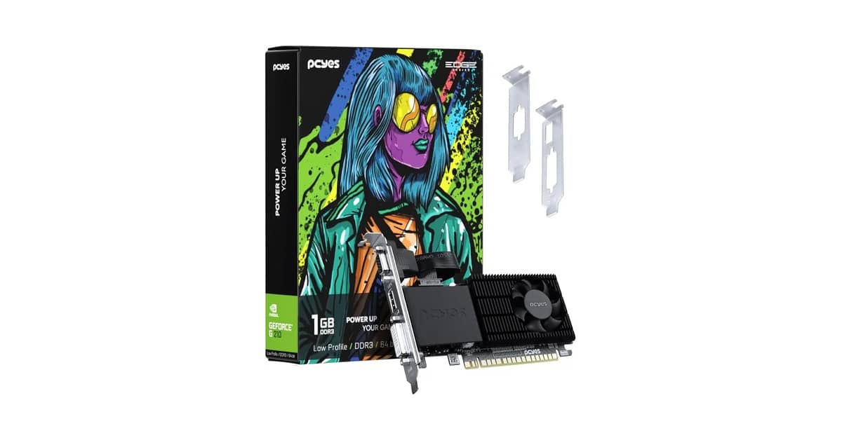 Qual é a Melhor Placa de Video Barata Para Jogos Leves?