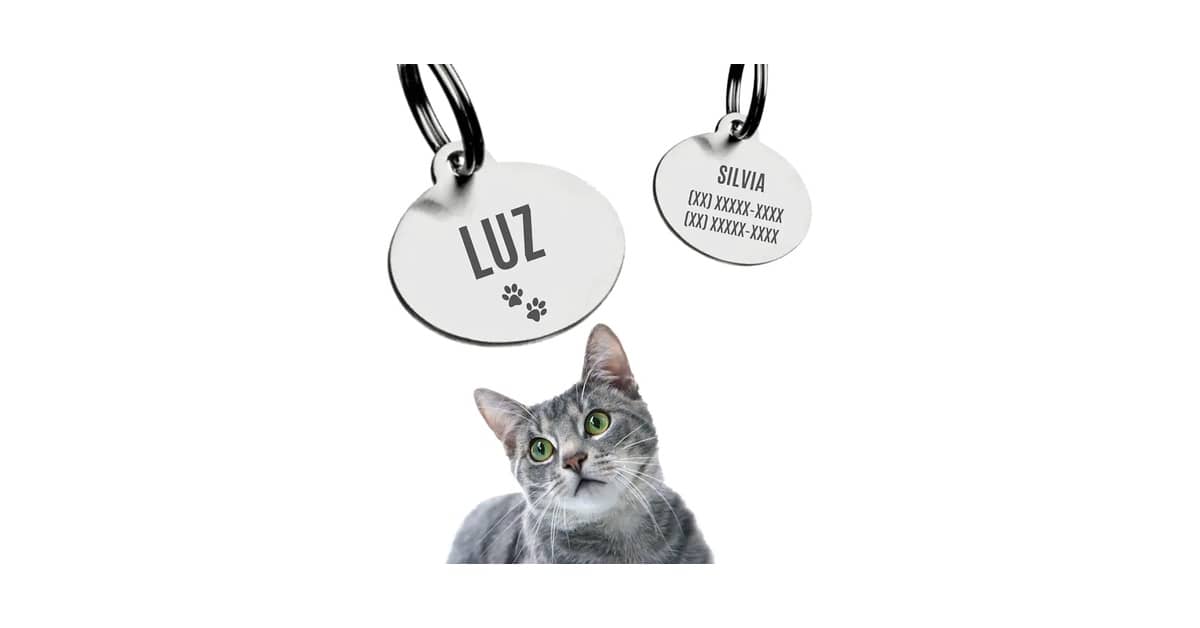 Qual é a Melhor Plaquinha de Identificação para Pet: QR Code ou Gravação?