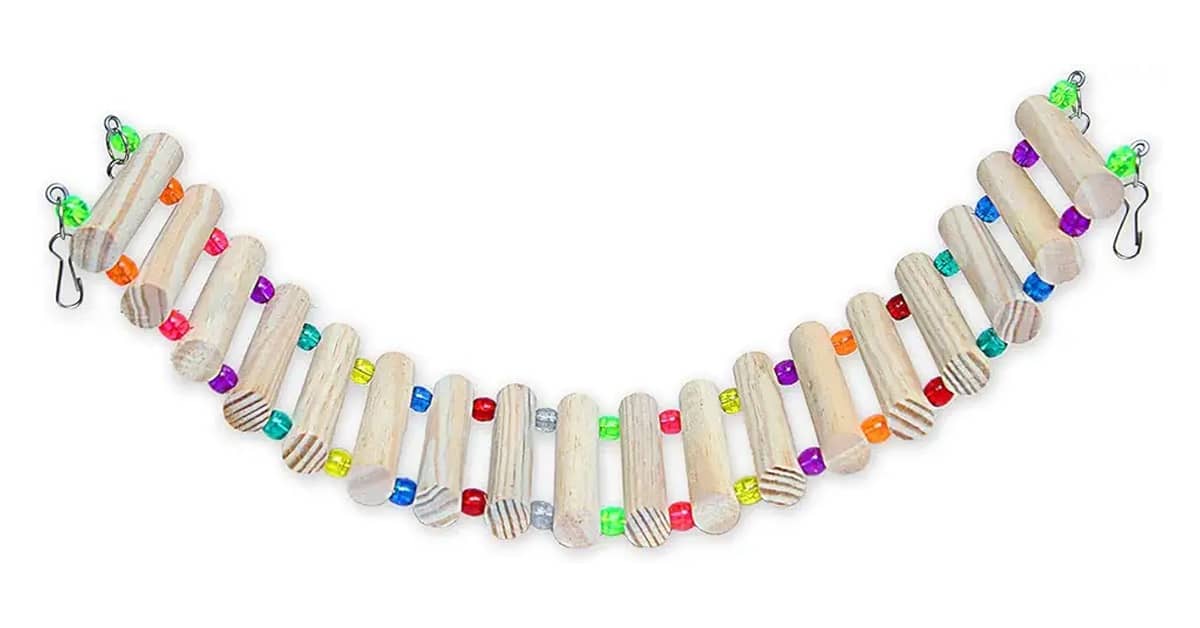 Qual É a Melhor Ponte de Madeira Para Roedor? Guia