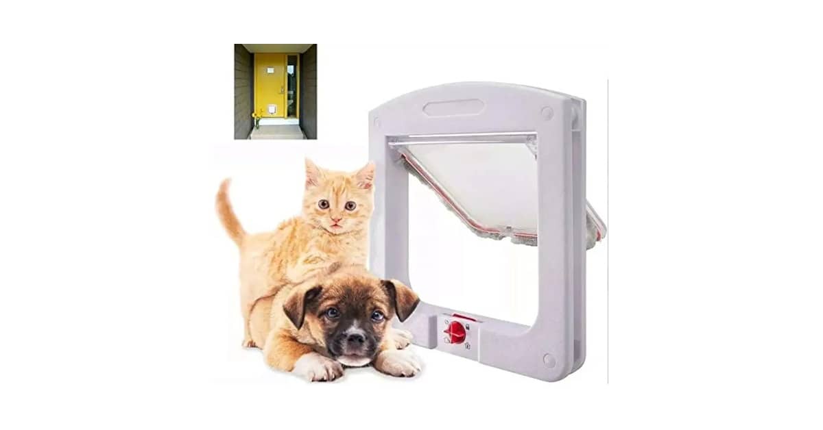 Qual é a Melhor Porta para Gato para Portas? Guia