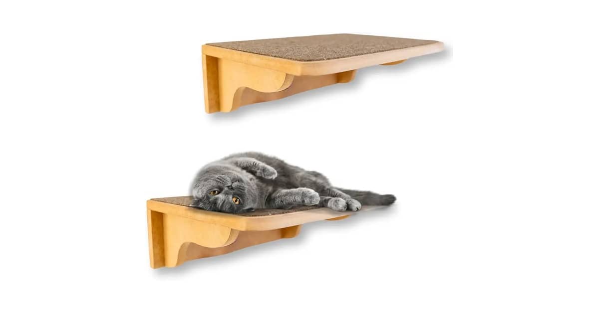 Qual é a Melhor Prateleira para Gatos para Parede? Kit ou Peça Única?