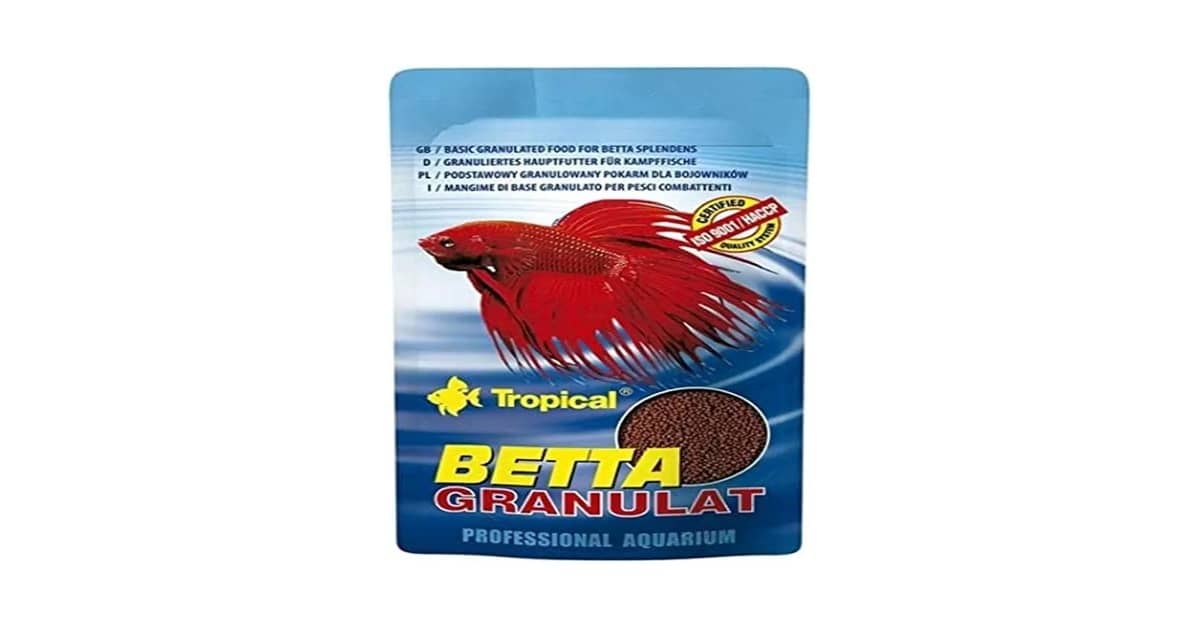 Qual é a Melhor Racao para Betta? Análise Nutritiva