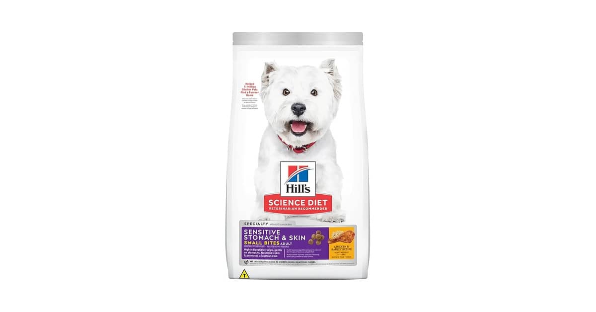 Qual É a Melhor Ração Para Cães Com Estômago Sensível?