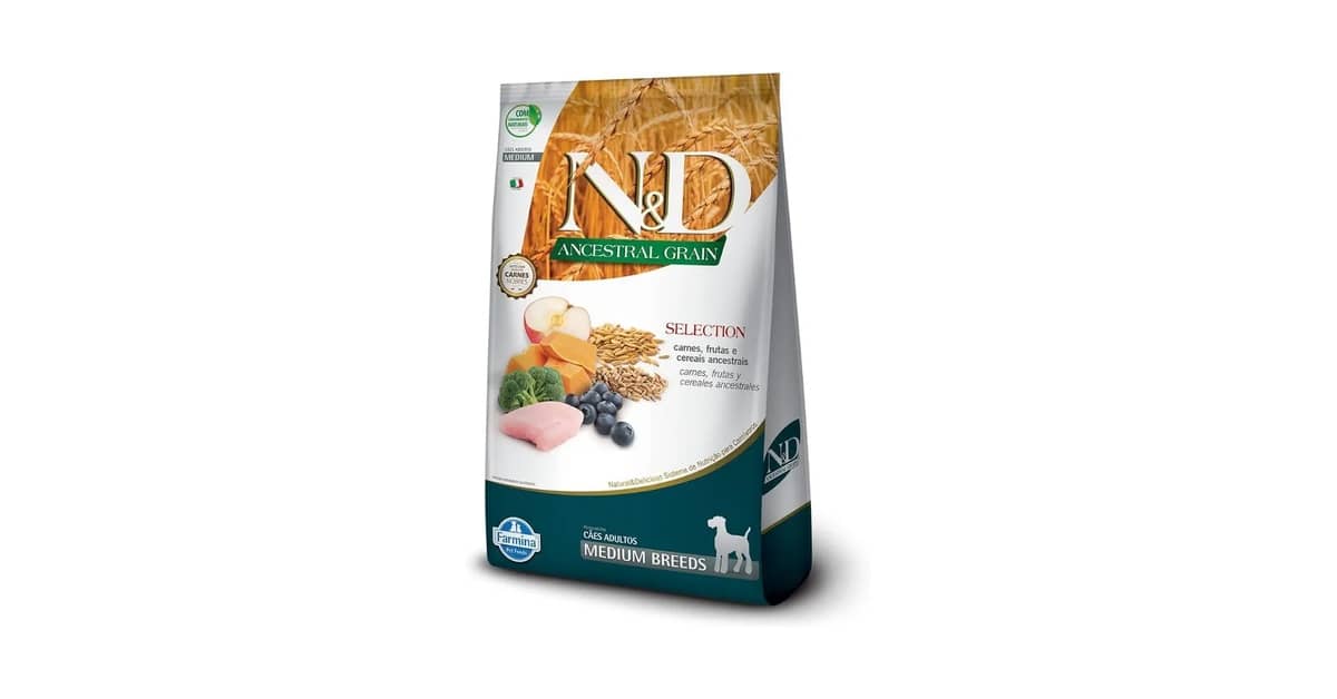 Qual é a Melhor Ração para Doberman: Guia Nutricional