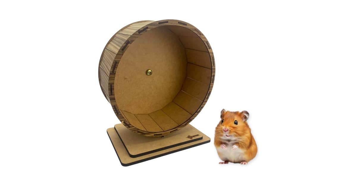 Qual é a Melhor Rodinha de Exercício para Hamster? Guia de Segurança