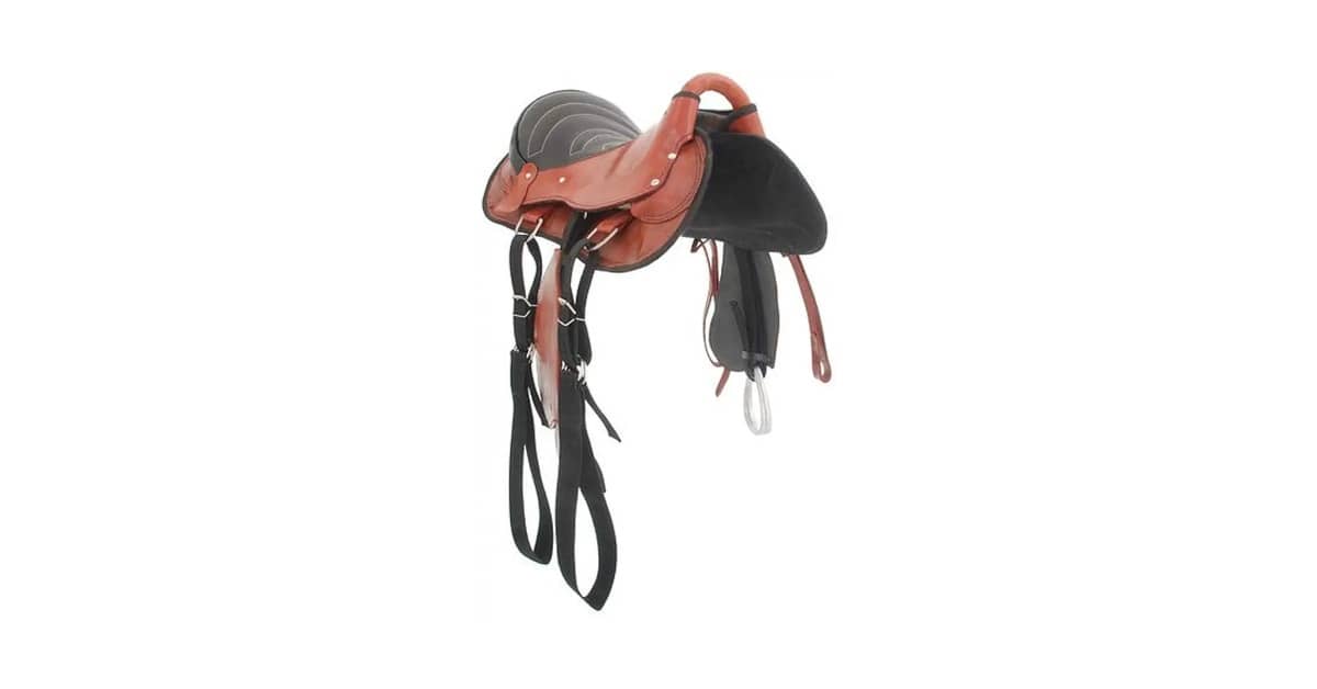 Qual É a Melhor Sela para Vaquejada Para Iniciantes?