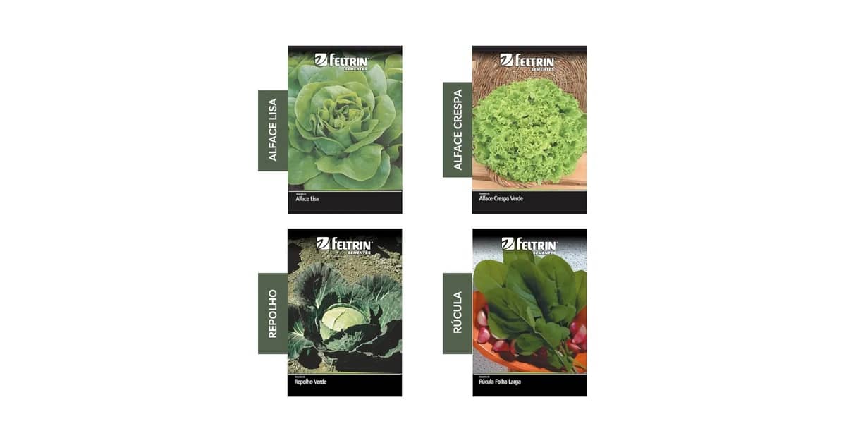 Qual é a Melhor Semente de Hortaliças para Horta em Casa? Kits vs. Sementes Únicas