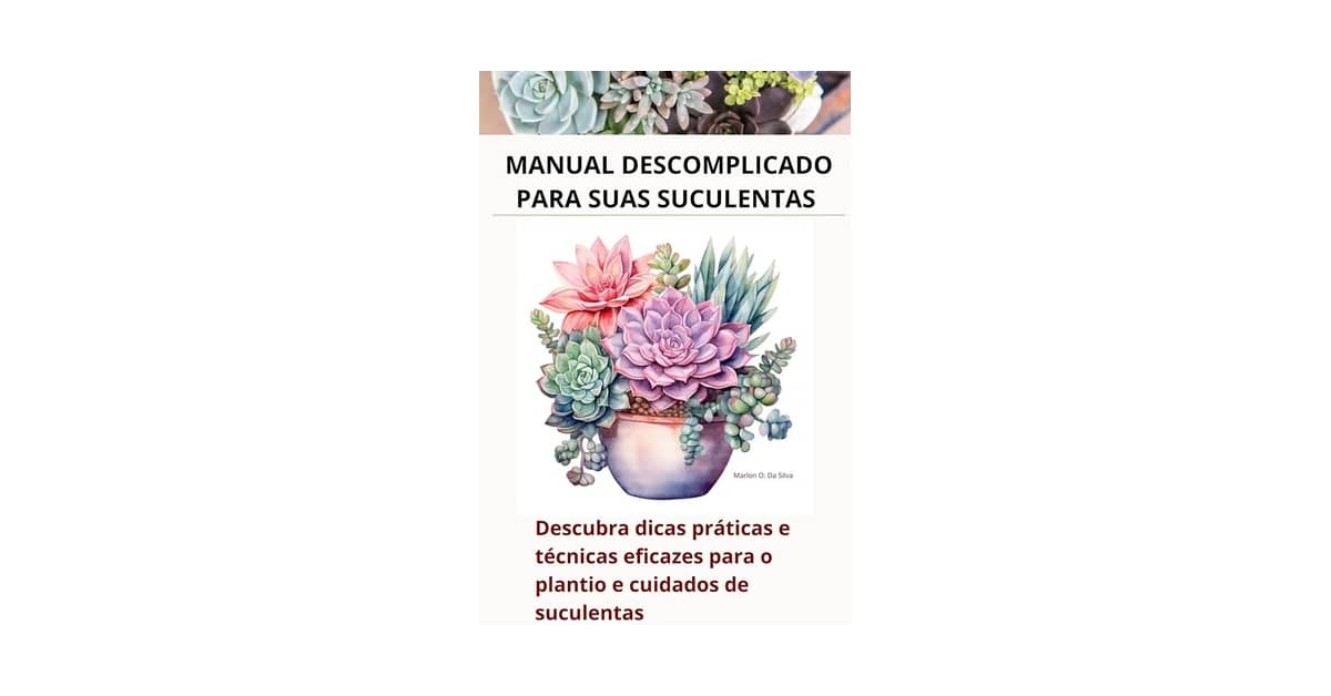 Qual é a Melhor Suculenta de Fácil Cuidado Para Iniciantes? 4 Opções Incríveis