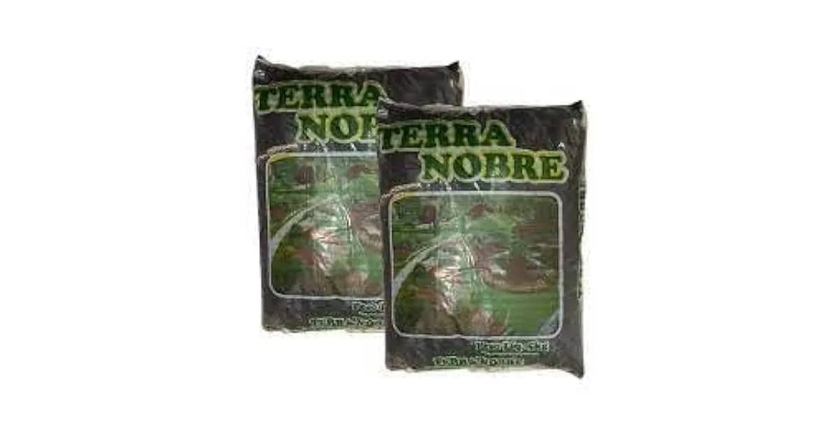 Qual É a Melhor Terra Vegetal Para Horta e Vaso?