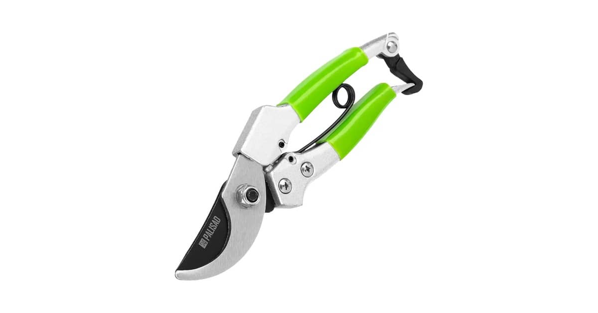 Qual É a Melhor Tesoura de Poda Para Jardinagem? Guia Para Cortes Precisos