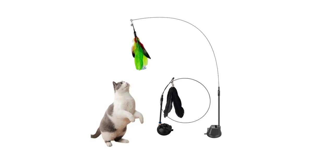 Qual É a Melhor Varinha Para Brincar Com Gato? Modelos Interativos