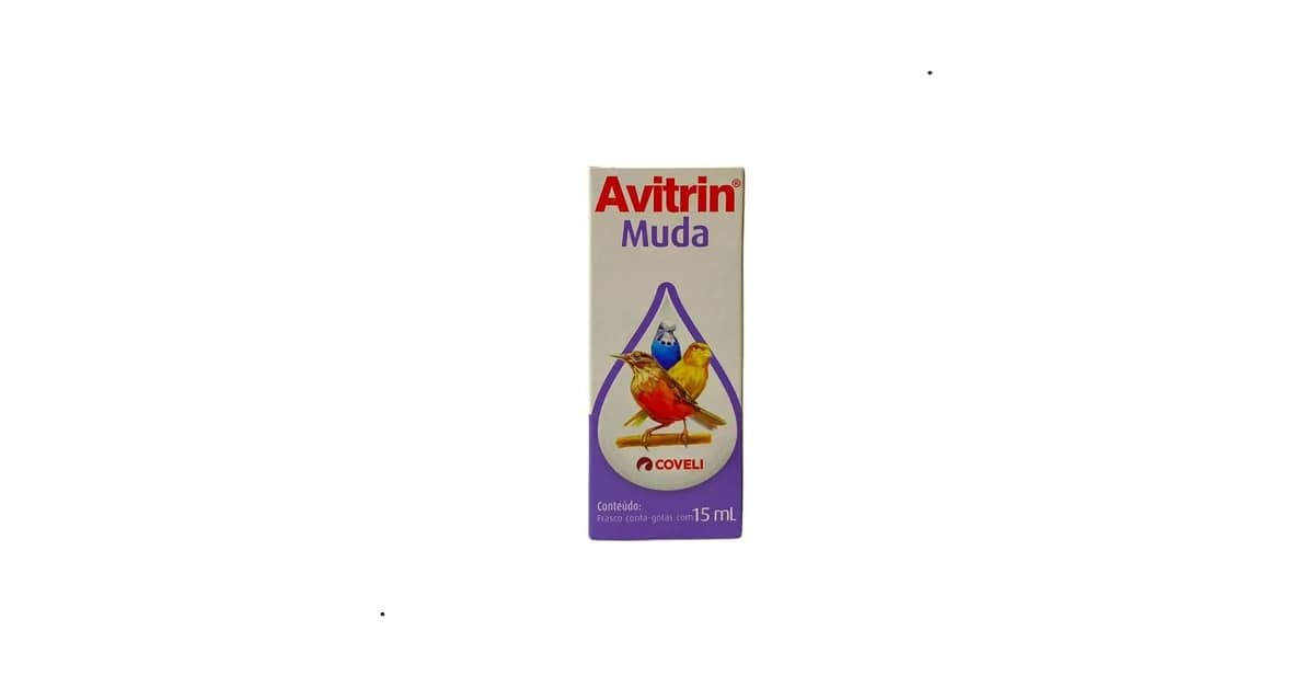 Qual É a Melhor Vitamina Para Pássaro? Guia Essencial