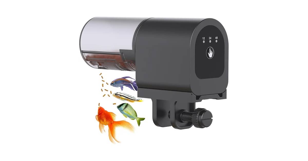 Qual É o Melhor Alimentador Automático Para Tanque de Peixe? WiFi ou Timer?