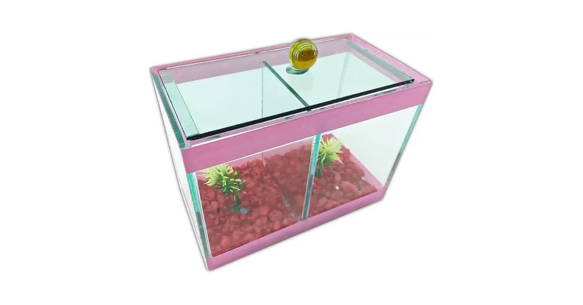 Qual é o Melhor Aquário para Peixe Betta? 6 Análises