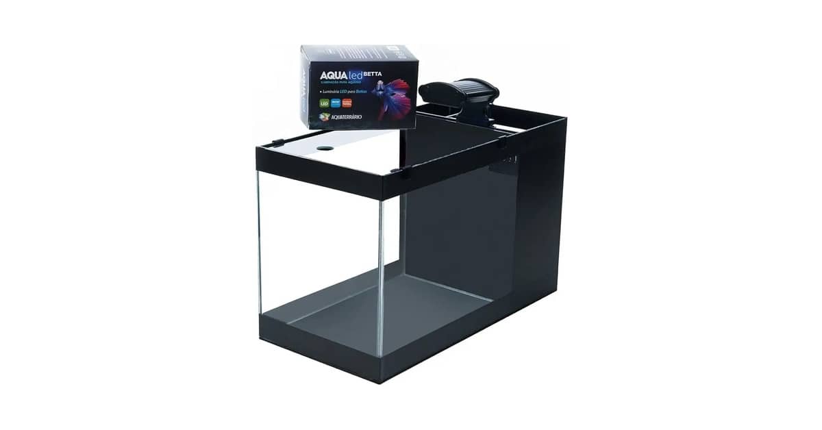 Qual É o Melhor Aquaterrário Para Iniciantes?