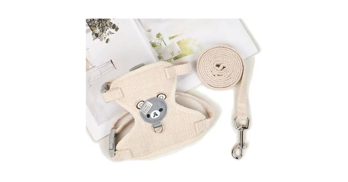 Qual é o Melhor Arnês para Coelho? Guia Anti-Fuga