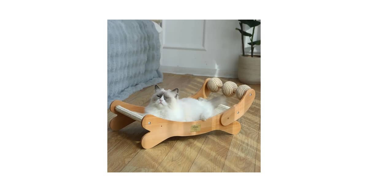 Qual É o Melhor Arranhador Cama Para Gatos? 6 Modelos
