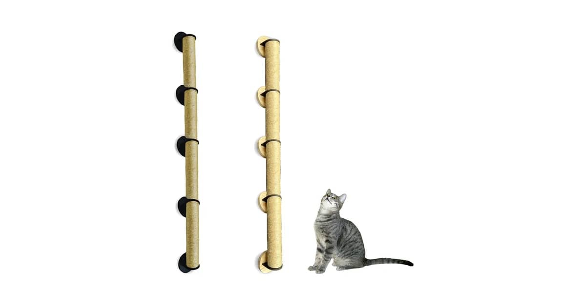 Qual é o Melhor Arranhador de Sisal Para Porta?