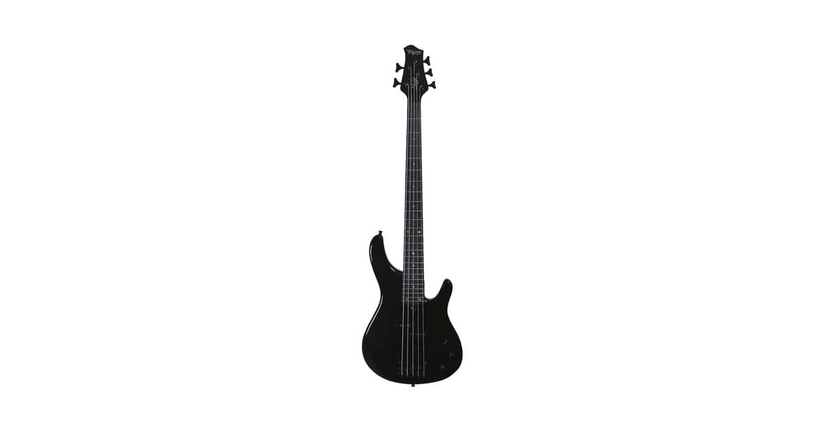 Qual é o melhor baixo de 5 cordas fretless? Guia de Compra e Customização