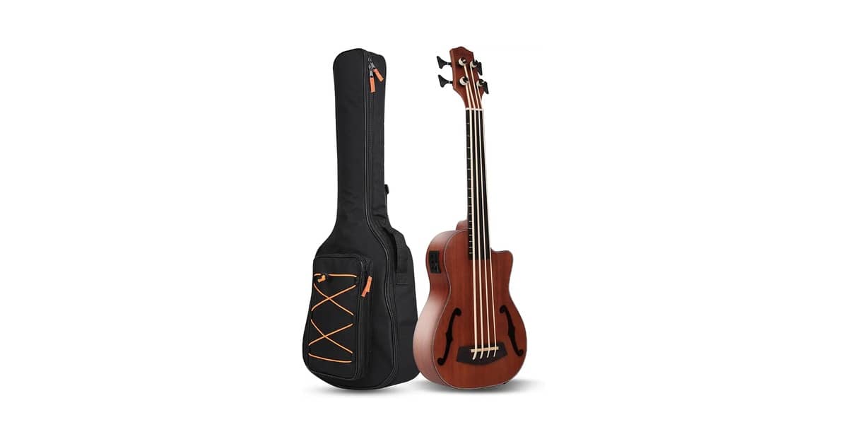 Qual é o Melhor Baixo Sem Trastes (Fretless)? O U-Bass