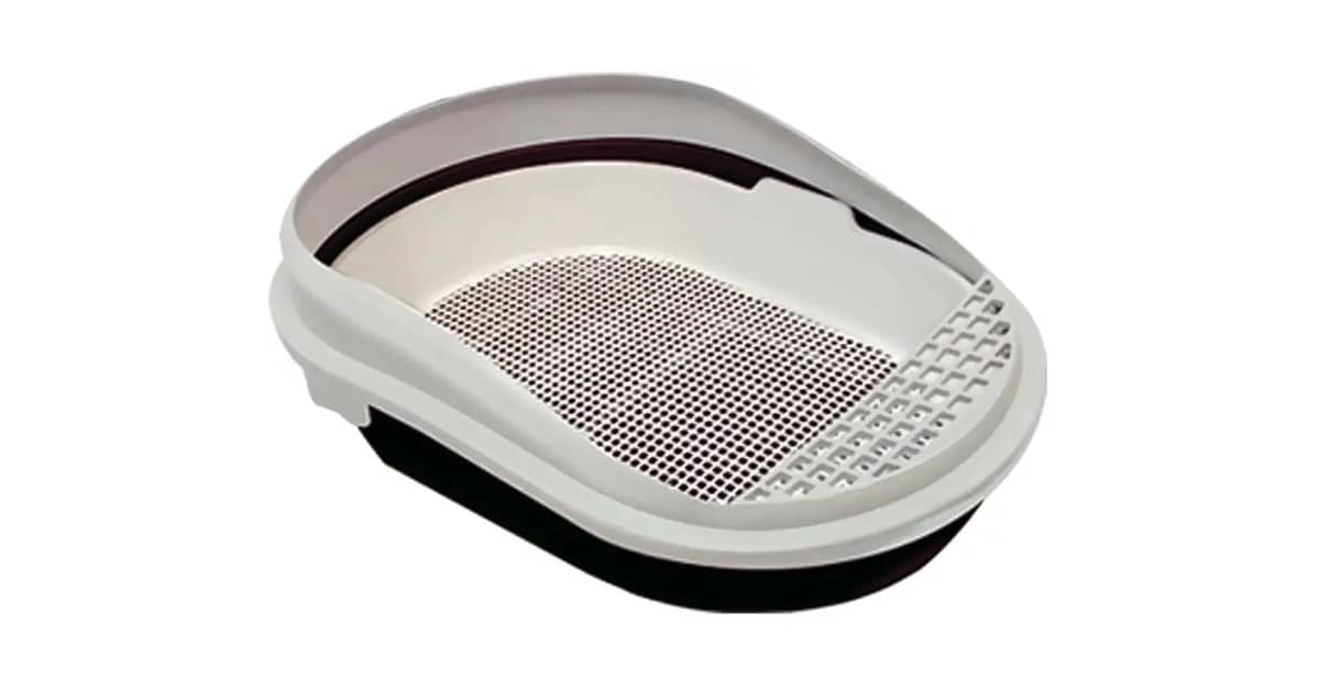 Qual é o Melhor Banheiro Para Gato? Menos Cheiro!