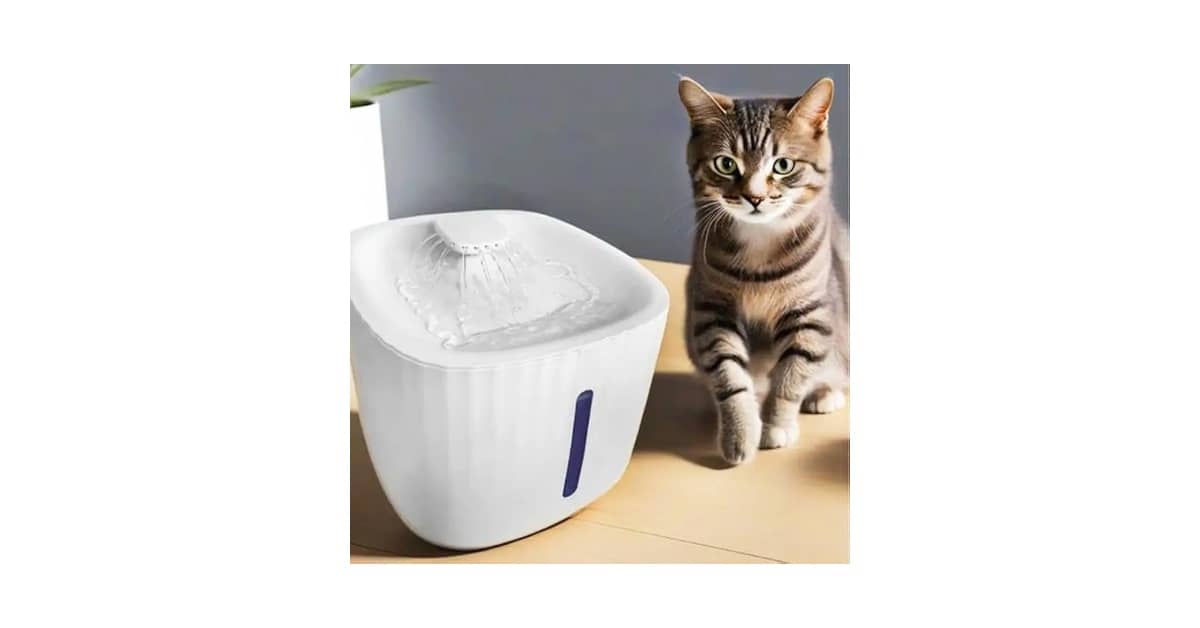 Qual é o Melhor Bebedouro para Gato: Guia de Saúde