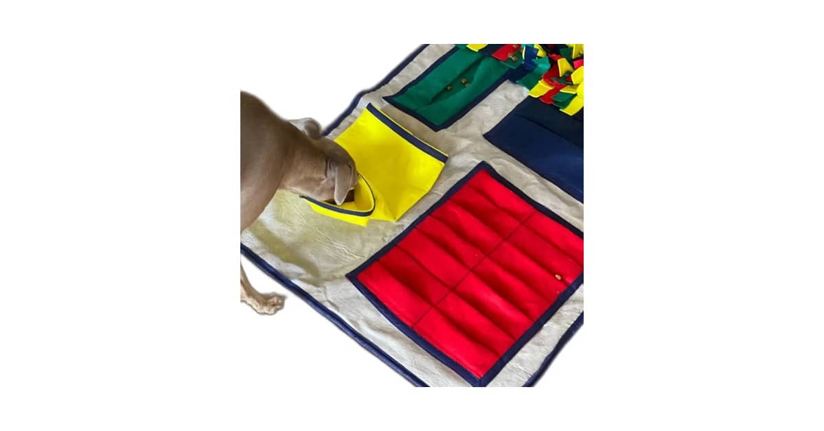 Qual É o Melhor Brinquedo de Enriquecimento Ambiental para Cães? 10 Modelos Analisados