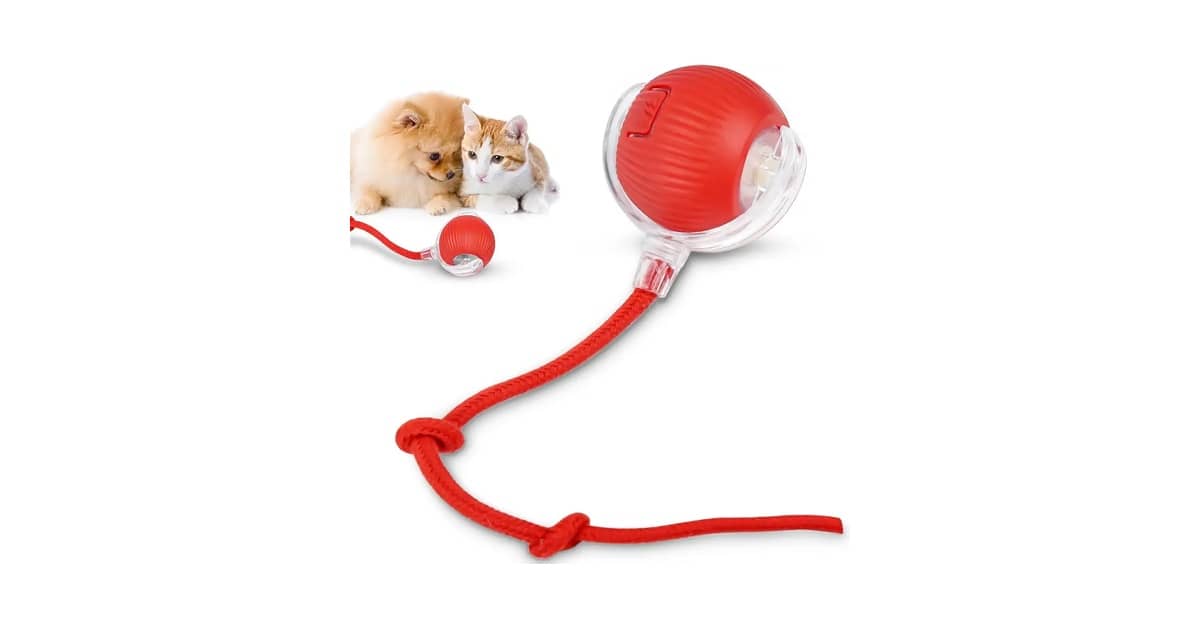 Qual é o Melhor Brinquedo de Gato Para Evitar o Tédio?