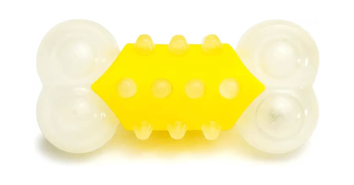 Qual É o Melhor Brinquedo Para Cachorro Que Flutua na Água?