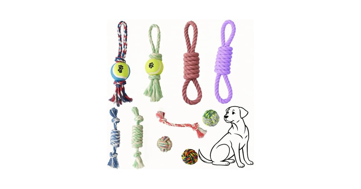 Qual É o Melhor Brinquedo Para Cães Com Ansiedade de Separação?