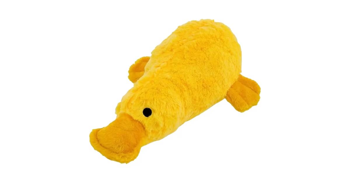 Qual É o Melhor Brinquedo Para Cães Com Som? Guia