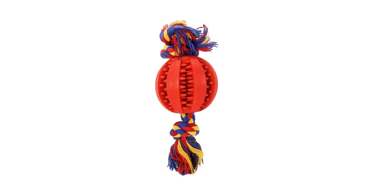 Qual É o Melhor Brinquedo Para Cães Que Destroem Tudo? Nosso Top 9