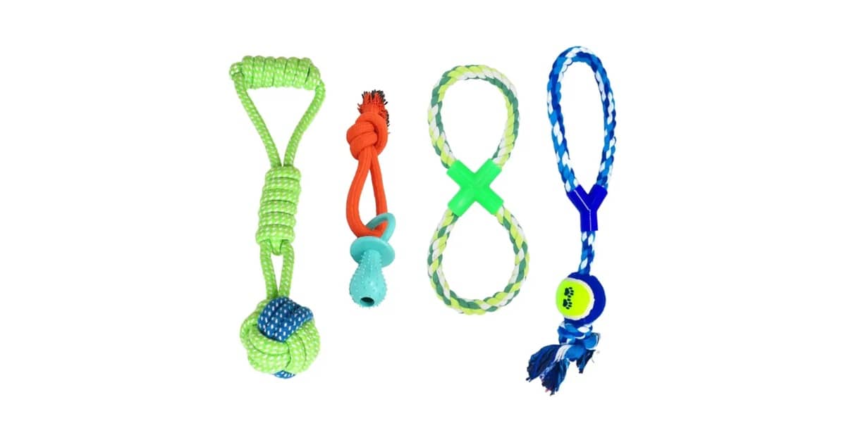 Qual É o Melhor Brinquedo Para Cães Que Gostam de Corda? Os 10 Mais Duráveis