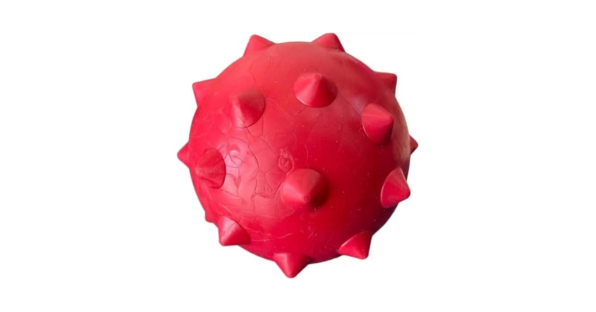 Qual É O Melhor Brinquedo Para Cães Que Gostam De Desatar Nós? 4 Modelos Com Corda