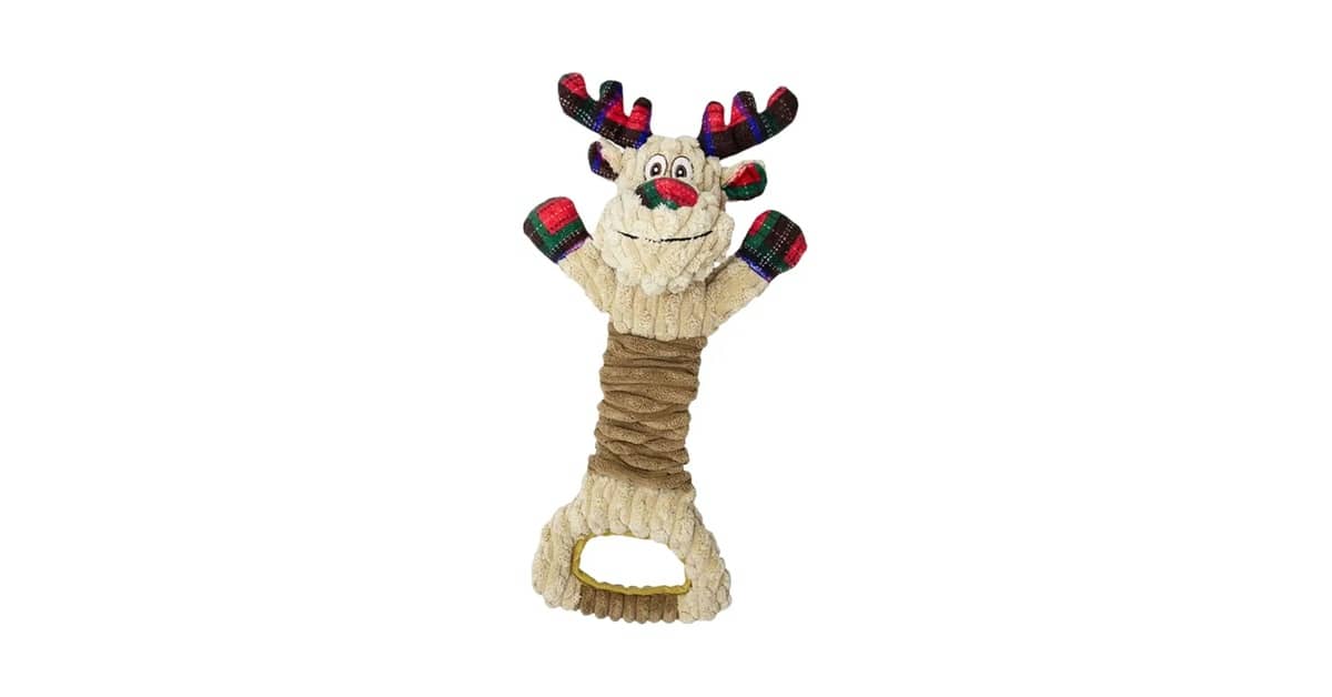 Qual é o Melhor Brinquedo Para Cães Que Gostam de Pular? Guia Essencial