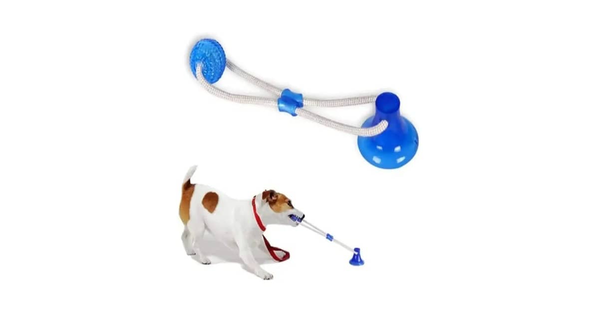 Qual É o Melhor Brinquedo Para Cães Que Gostam de Puxar? Top 9 Modelos