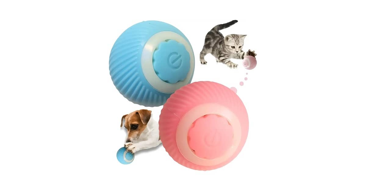 Qual É o Melhor Brinquedo Para Cães Que Roem Móveis? 10 Análises