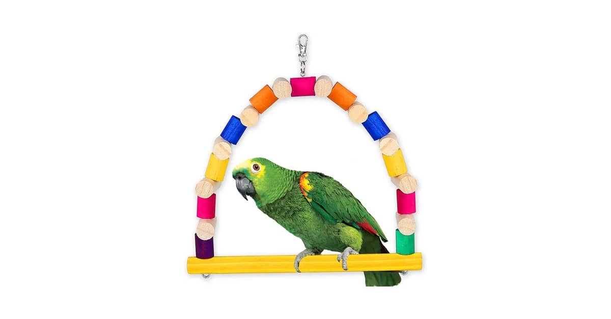 Qual É o Melhor Brinquedo Para Papagaio? Opções Seguras