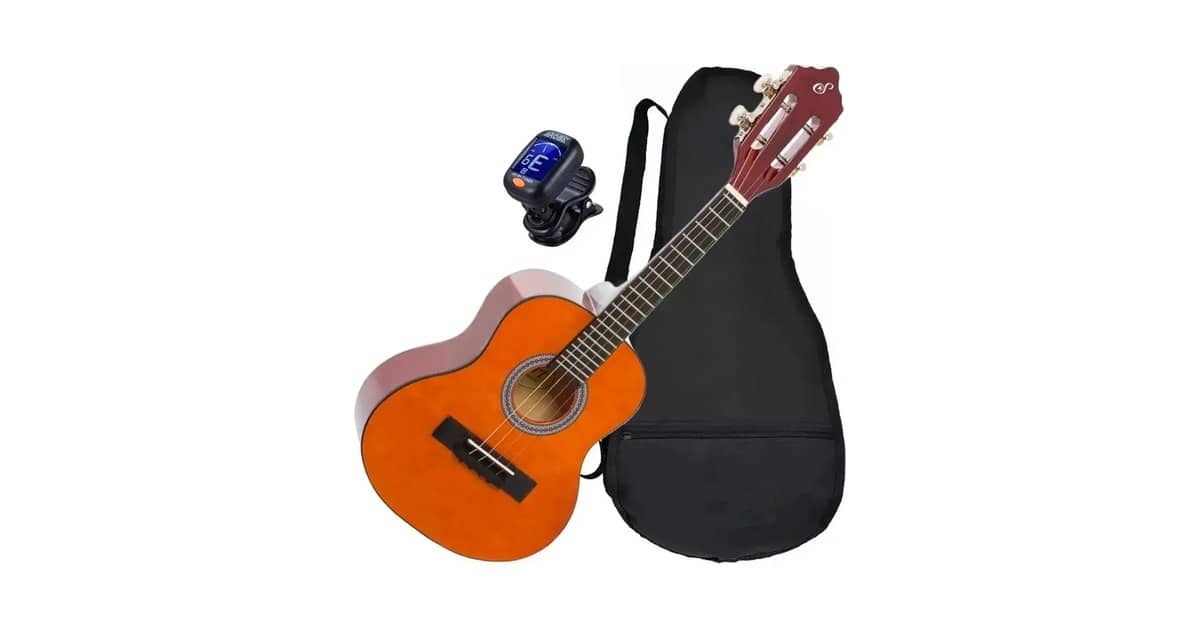 Qual é o Melhor Cavaquinho? Acústico ou Elétrico?