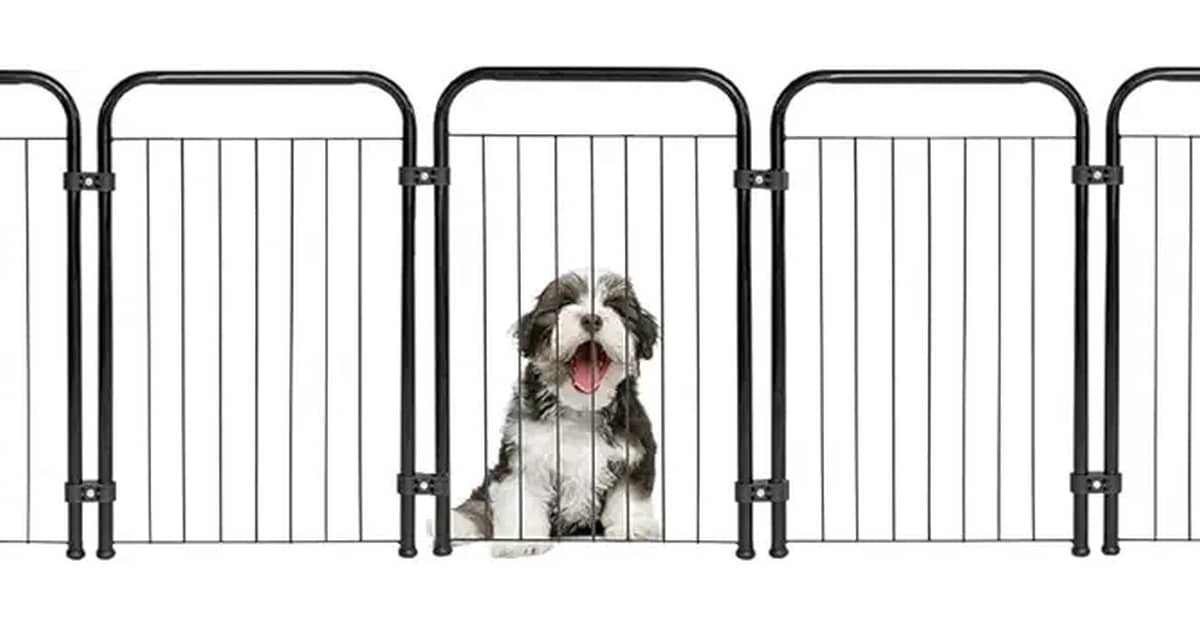 Qual é o Melhor Cercado para Cachorro? Aço vs Tecido