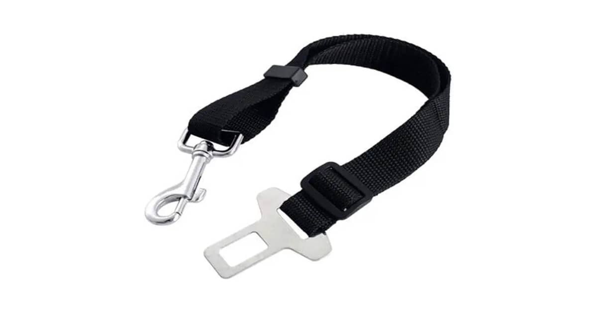 Qual É o Melhor Cinto de Seguranca Para Cachorro?