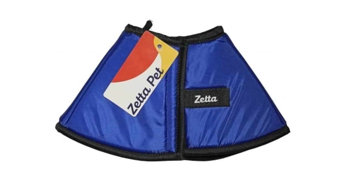 Qual é o Melhor Colar Elizabetano (Cone) Confortável? Guia Para Uma Recuperação Tranquila