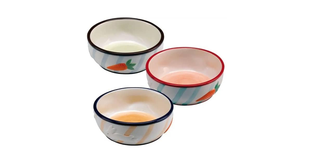 Qual É o Melhor Comedouro de Cerâmica Para Roedor? Análise de 8 Modelos