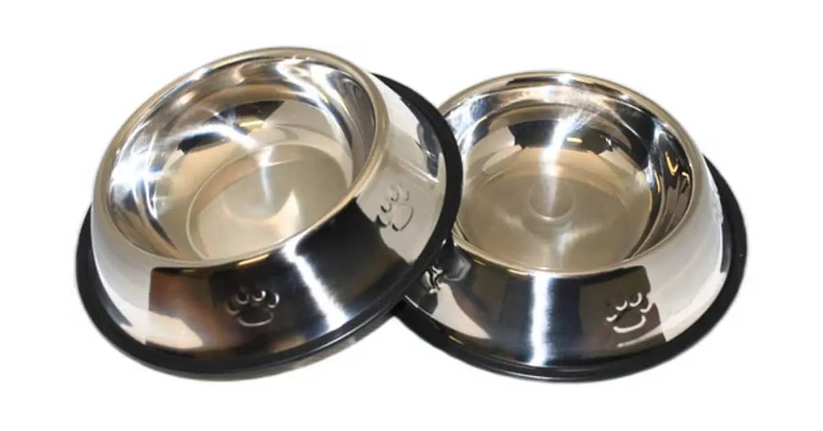 Qual É o Melhor Comedouro de Inox Para Cachorro? Guia de Tipos