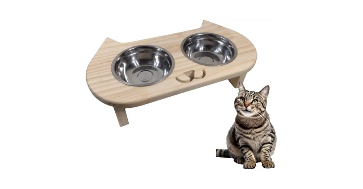 Qual é o Melhor Comedouro Elevado Para Gato e Por Quê?
