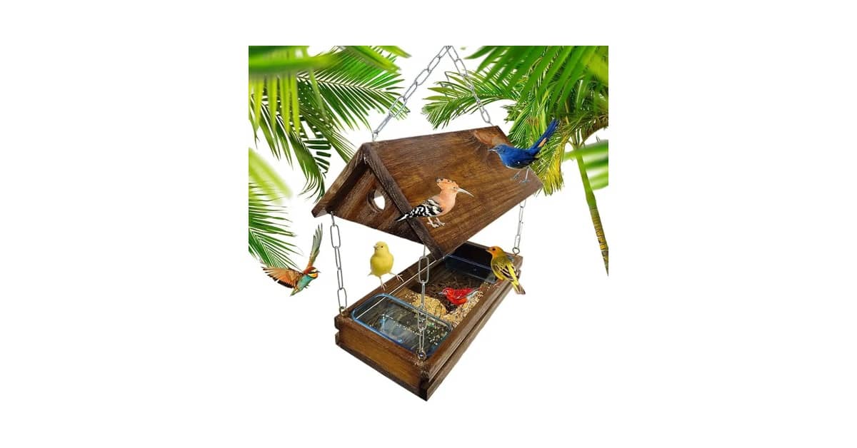 Qual é o Melhor Comedouro Para Pássaros? Guia de Compra